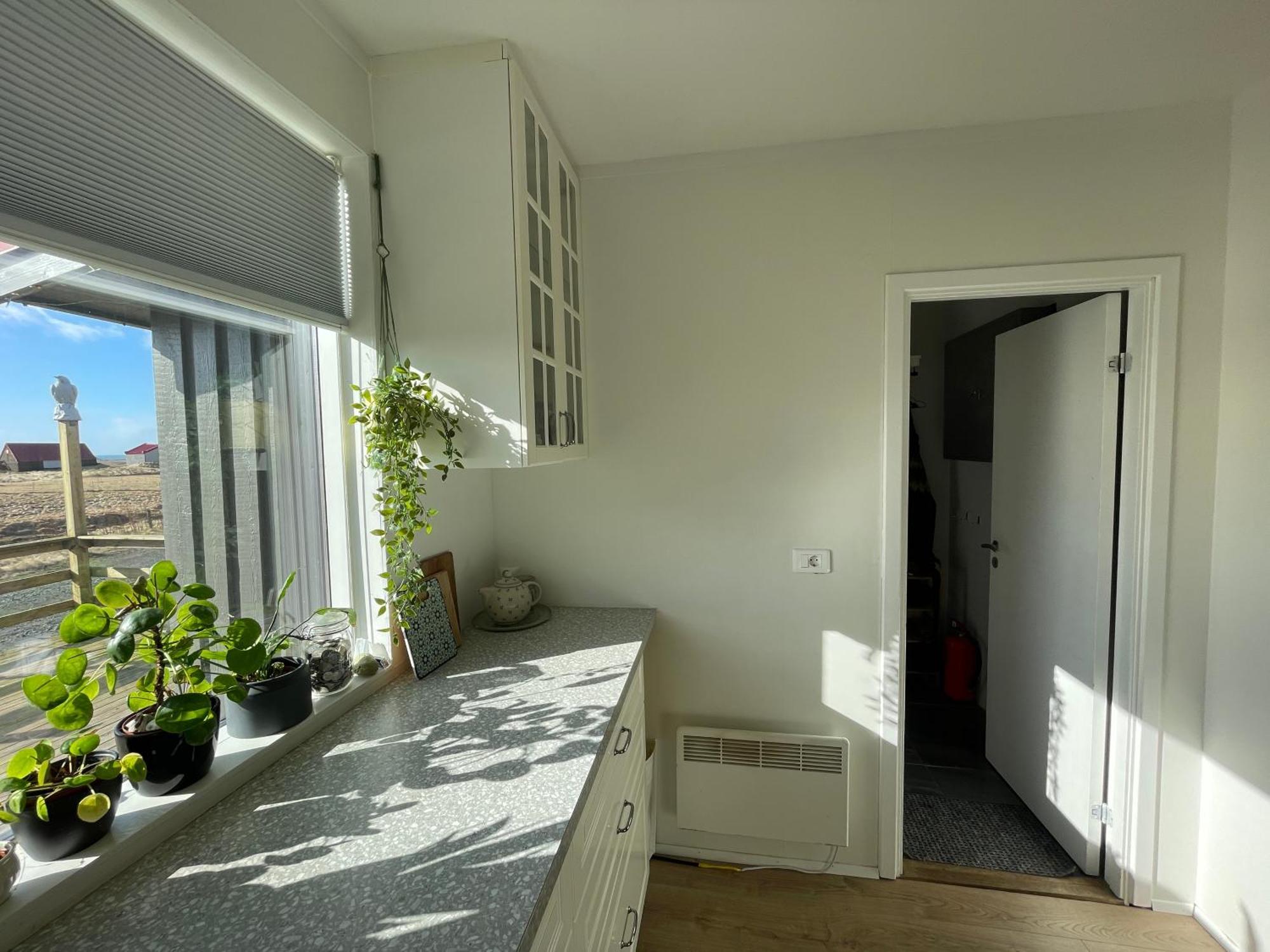 Laekjarhus Farm Holidays Borgarhofn Экстерьер фото