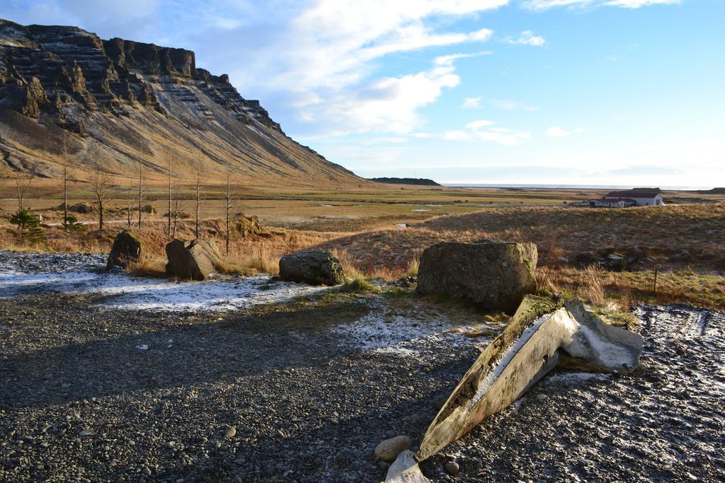 Laekjarhus Farm Holidays Borgarhofn Экстерьер фото